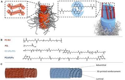 Optimization of Anti-kinking Designs for Vascular Grafts Based on Supramolecular Materials